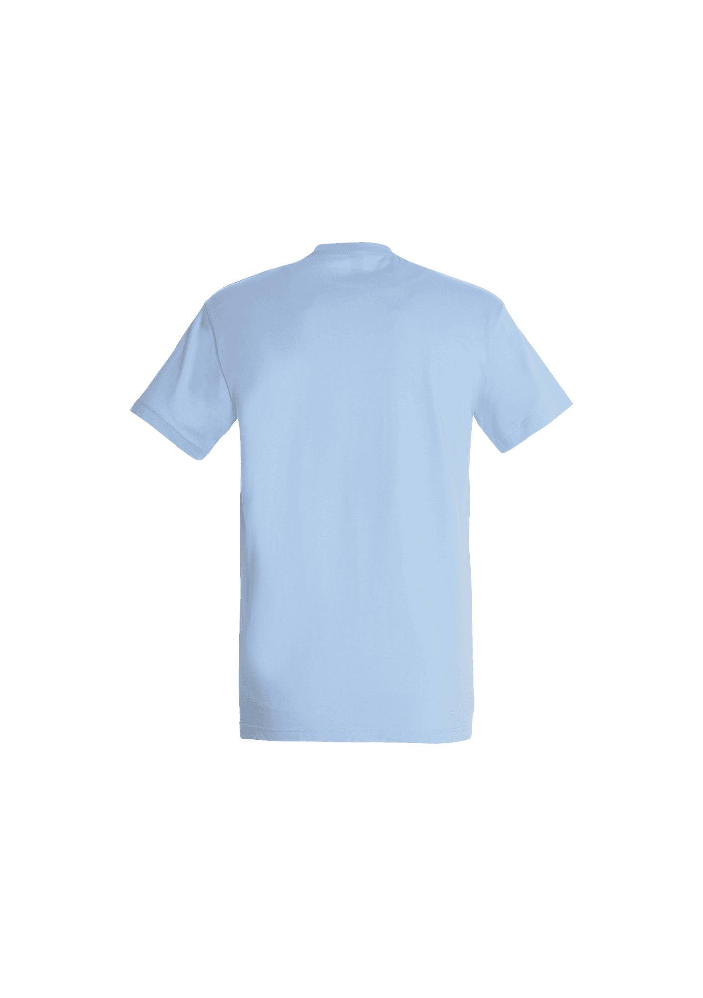 T-shirt Bleu Ciel 150g Enfant 020 ASD Judo Brignoles - ASD20_-REGENTKIDBLEUCIELDOS